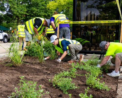 Renewal & Remembrance - Project EverGreen