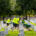 Renewal & Remembrance