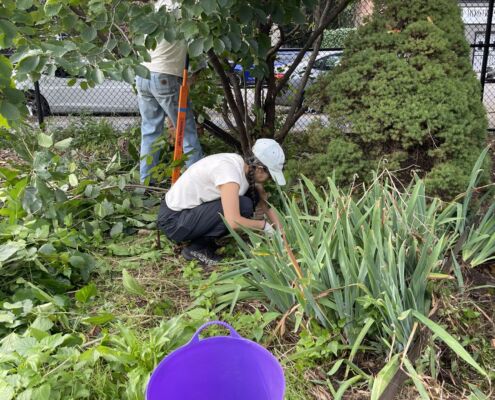 Phoenix Community Garden - Project EverGreen