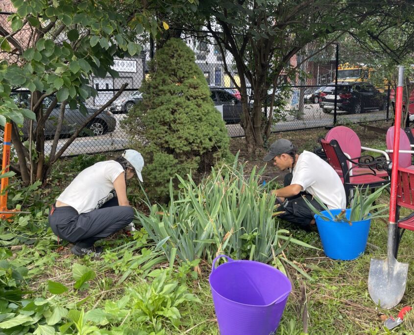 Phoenix Community Garden in Brooklyn Marks 10th Community Garden Renovation | Project EverGreen Phoenix Community Garden in Brooklyn - Project EverGreen