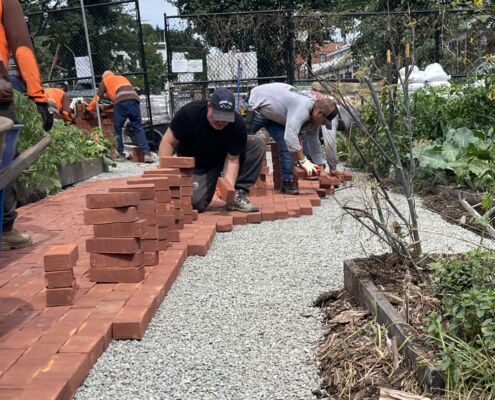 Phoenix Community Garden - Project EverGreen